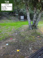 Target #28