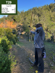 Target #29