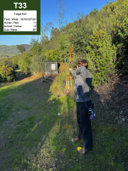Target #33