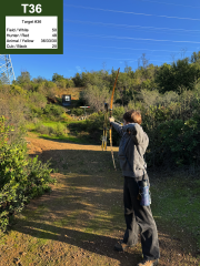 Target #36
