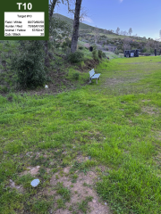 Target #10
